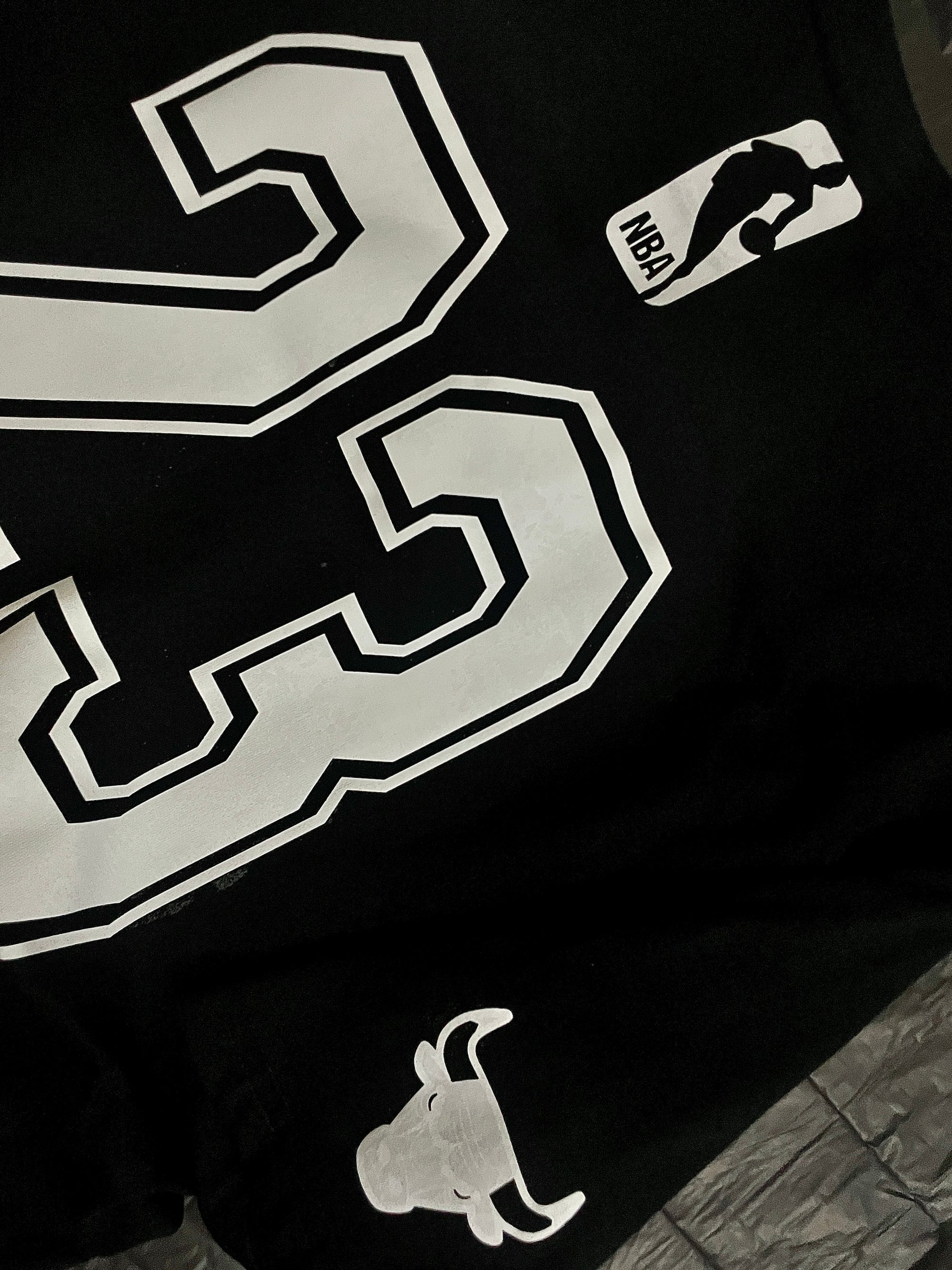 BULLS- JORDAN SIGNATURE